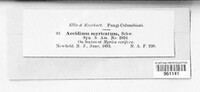Image Associated With the Occurence